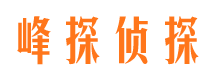 安康市场调查